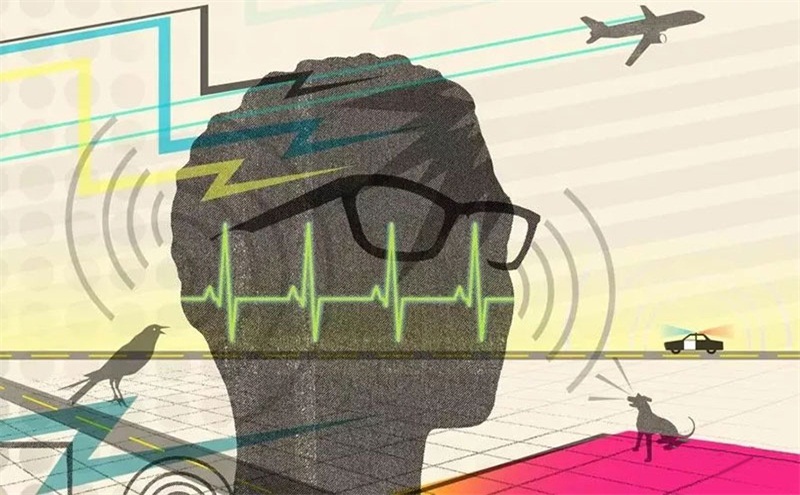 悲劇，聲學處理不好，噪音引發血案