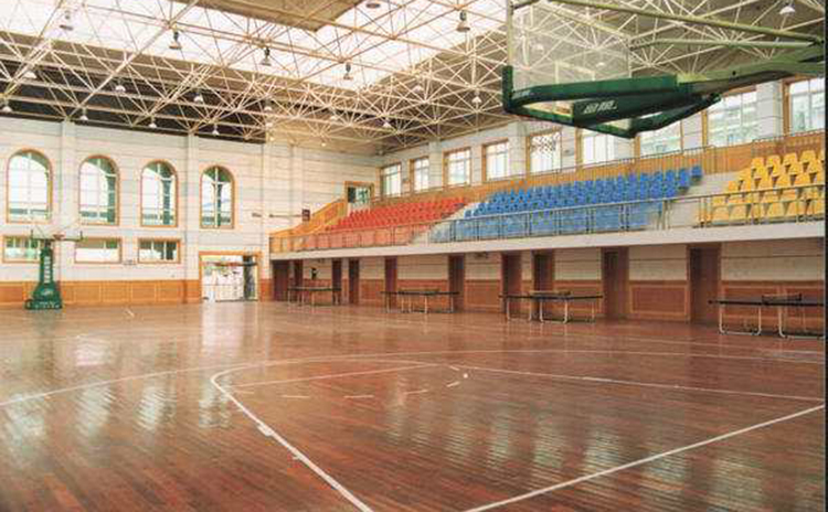 山東濟(jì)南學(xué)校體育館吸音工程